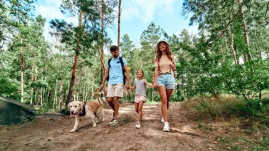 A family with a dog walk through a forest.