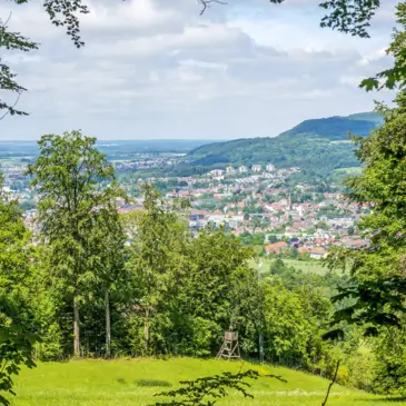 Vista di Aalen dalla foresta