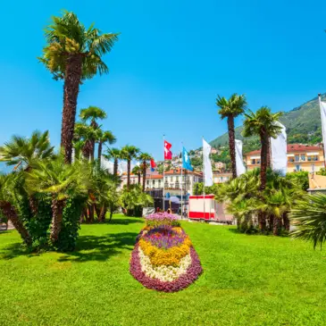 Aiuola e palme alla luce del sole